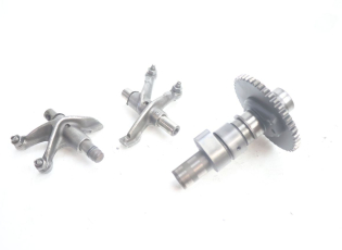 ARBRE A CAMES
