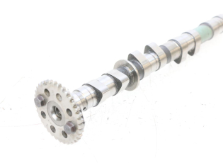 ARBRE CAME ADMISSION