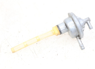 DEPRESSION RESERVOIR