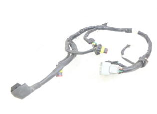 FAISCEAU TETE FOURCHE