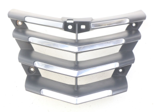 GRILLE RADIATEUR
