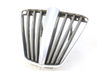GRILLE RADIATEUR