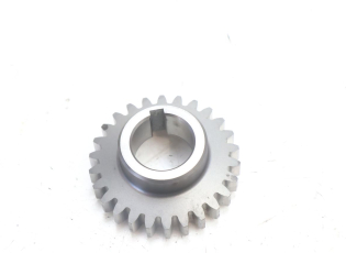 PIGNON