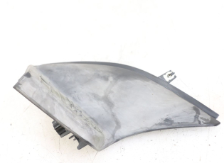 PLATINE CALE PIED ARRIERE GAUCHE