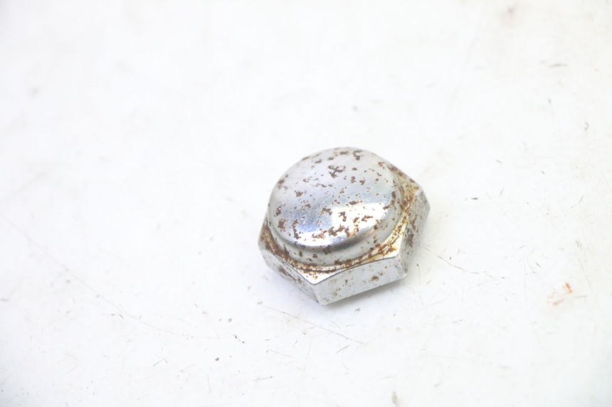 photo de MOER VOOR VORKT-STUURKOP TRIUMPH SPRINT 900 (1995 - 1998) - Hoofdaanzicht