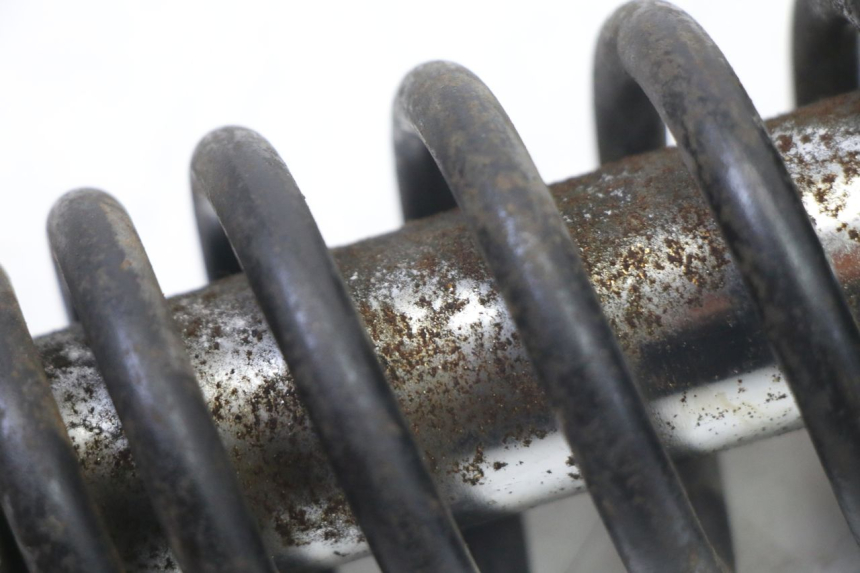 photo de ACHTERSTE SCHOKDEMPER SYM FIDDLE 3 III 125 (2014 - 2020) - Overzicht