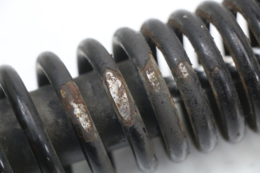 photo de ACHTERSTE SCHOKDEMPER PIAGGIO NEW TYPHOON 50 (2018 - 2021) - Overzicht