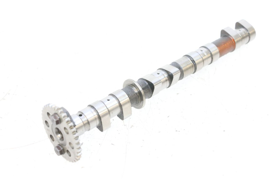 photo de Nokkenas uitlaat YAMAHA XJ6 ABS 600 (2008 - 2016) - Hoofdaanzicht