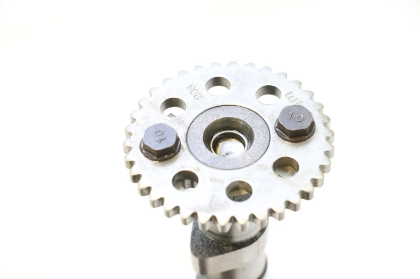 photo de Nokkenas uitlaat YAMAHA XJ6 ABS 600 (2008 - 2016) - Overzicht