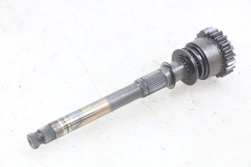 photo de STARTAS APOLLO DIRT BIKE 125 (2010 - 2018) - Detail van het onderdeel