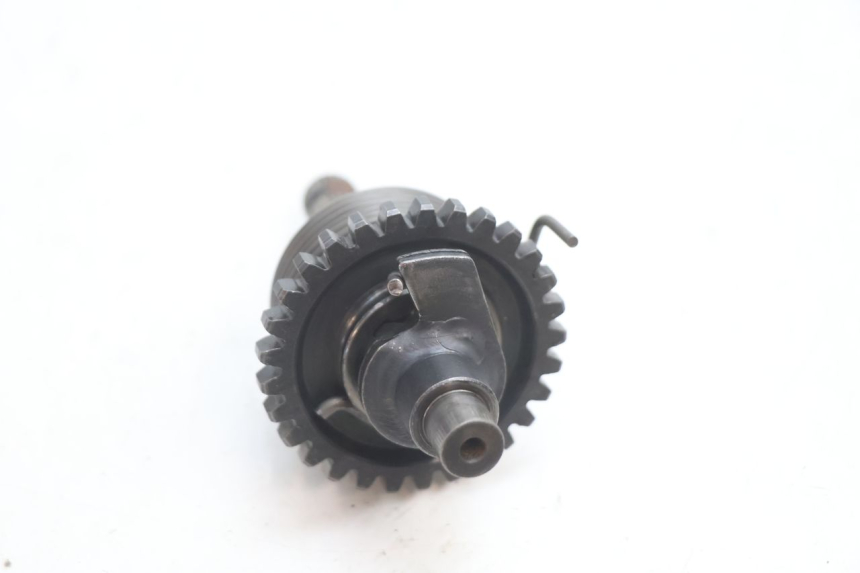 photo de STARTERAS DERBI SENDA 50 (2003 - 2005) - Technische close-up