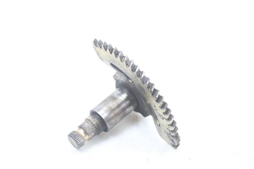 photo de STARTERAS TNT MOTOR ROMA 10' 2T 50 (2011 - 2018) - Andere kijkhoek