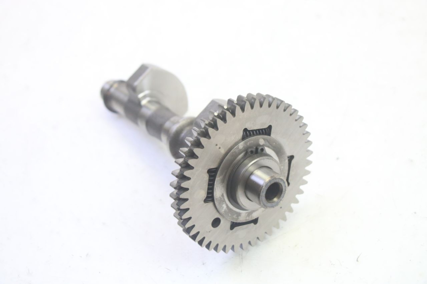 photo de MOTOREVENWICHTER SUZUKI BURGMAN EXECUTIVE ABS 650 (2006 - 2012) - Overzicht