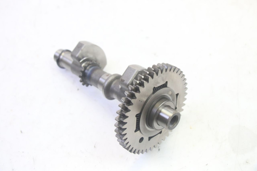 photo de MOTOREVENWICHTER SUZUKI BURGMAN EXECUTIVE ABS 650 (2006 - 2012) - Markeringen en referenties