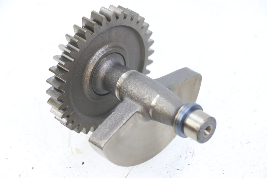 photo de MOTOREVENWICHTER HONDA TRX 300 (1988 - 2000) - Andere kijkhoek