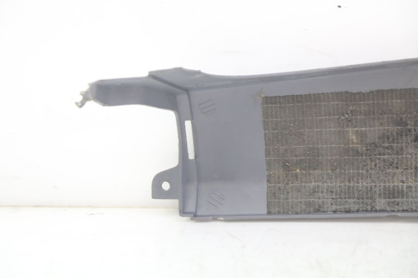 photo de rechter achterzijscherm onderzijde HONDA FES PANTHEON 2T 125 (1998 - 2002) - Zoom op gebruiksstaat