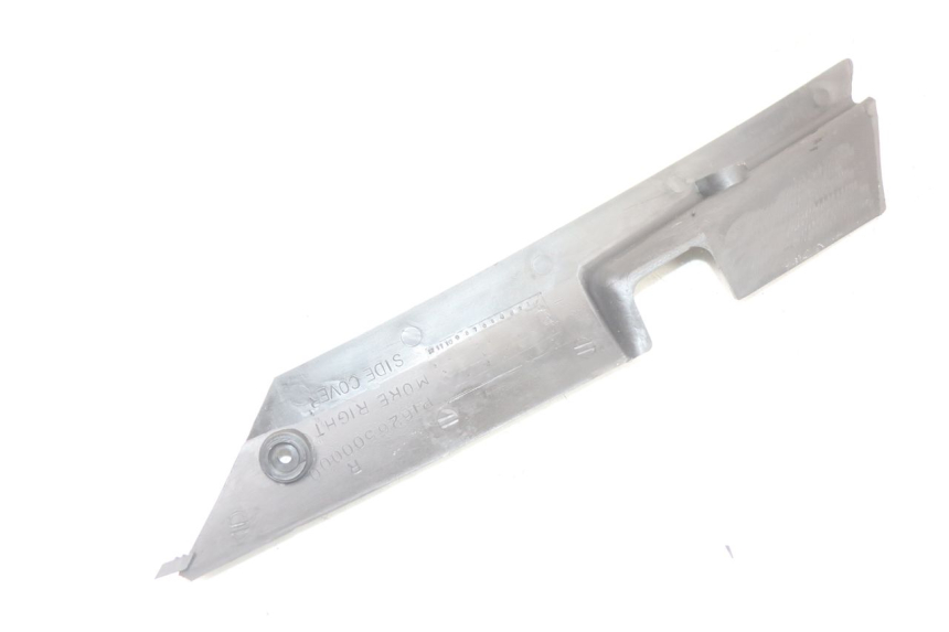 photo de rechter achterste dorpelplaat MASH LEGEND'R 4T 50 (2021 - 2025) - Staat van het oppervlak