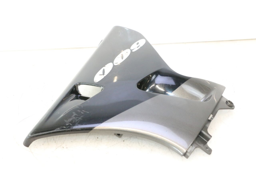 photo de RECHTE ZIJKANTSIJSTUK KAWASAKI ZZR 600 (1995 - 2004) - Overzicht