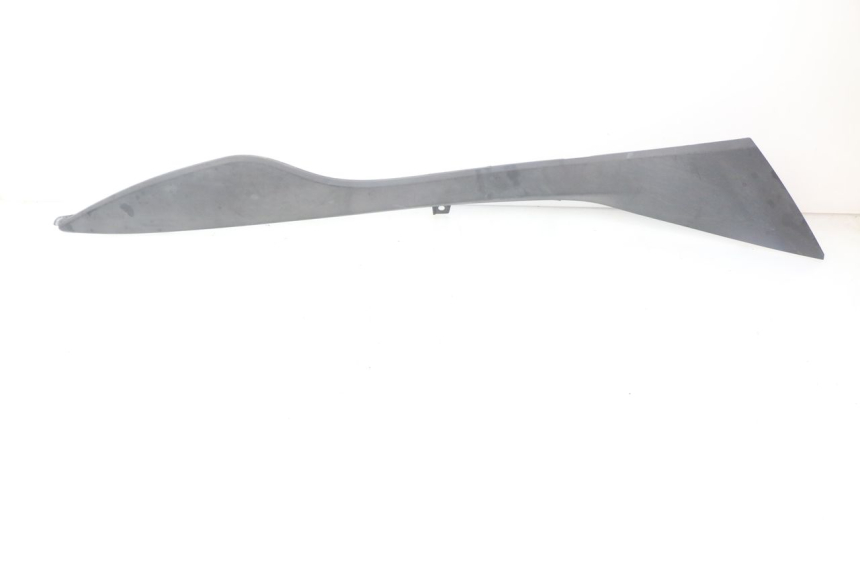 photo de LINKER DORSELPLAAT SUZUKI AN BURGMAN 400 (2006 - 2010) - Hoofdaanzicht