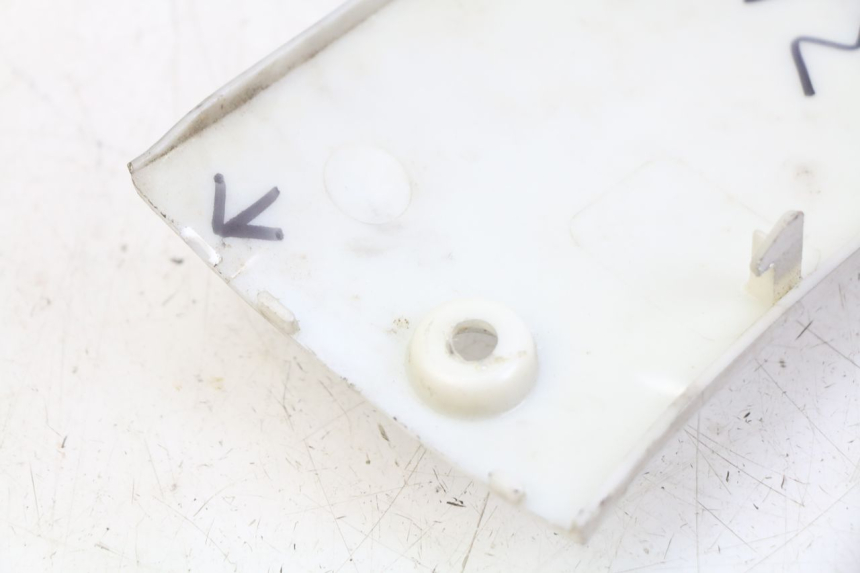 photo de LINKER DORSELIP BAOTIAN BT 49 QT-9 50 (2006 - 2010) - Overzicht