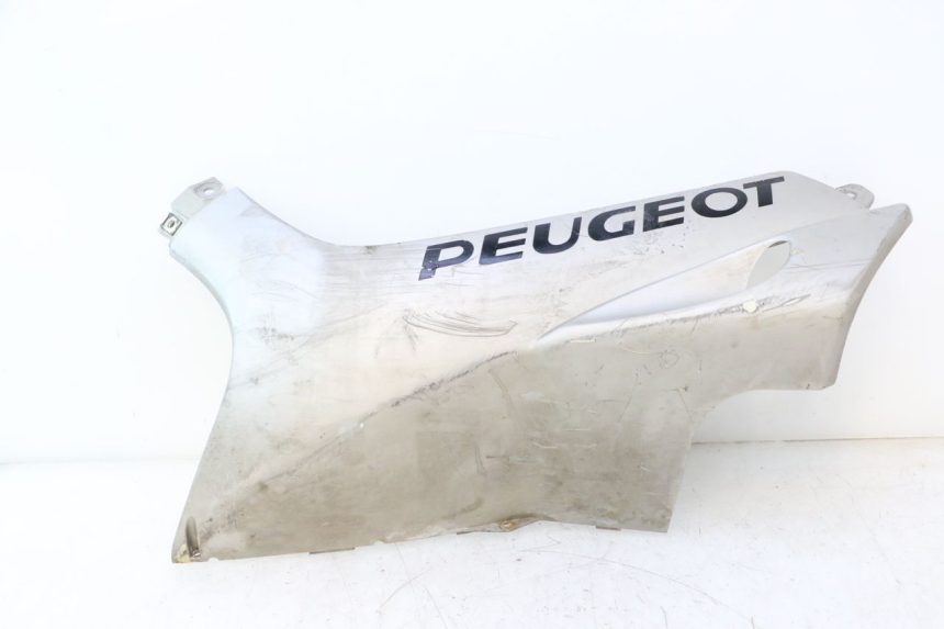 photo de LINKER DORSELPLAAT PEUGEOT SPEEDFIGHT LC 50 (1996 - 2002) - Hoofdaanzicht