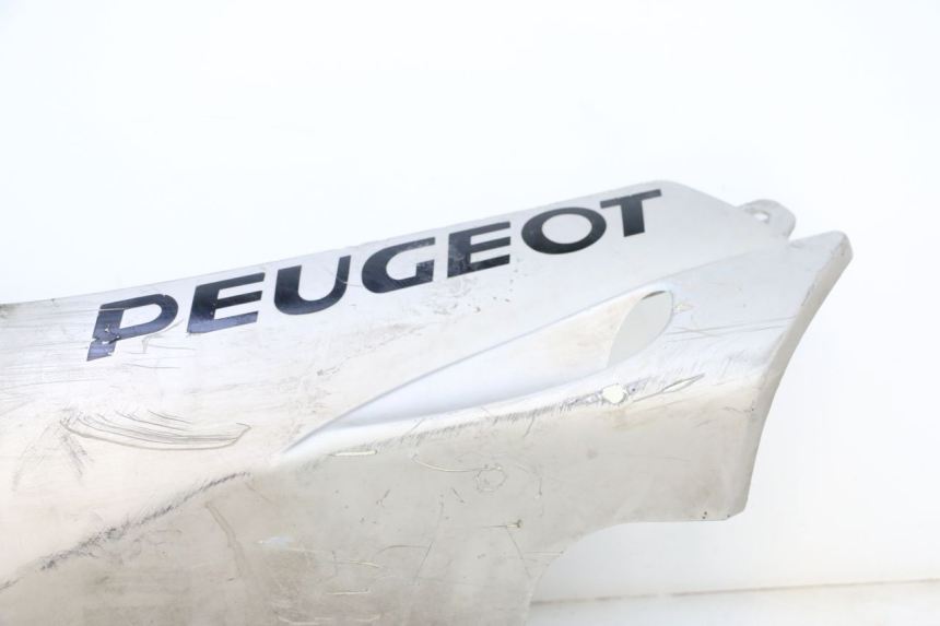 photo de LINKER DORSELPLAAT PEUGEOT SPEEDFIGHT LC 50 (1996 - 2002) - Detail van het onderdeel