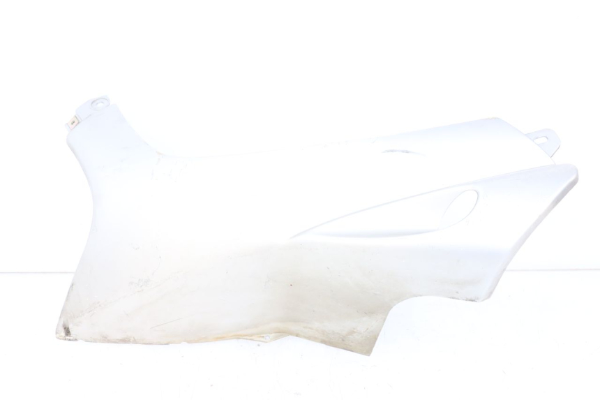 photo de LINKER DORSELPLAAT PEUGEOT SPEEDFIGHT 100 (1997 - 2007) - Hoofdaanzicht