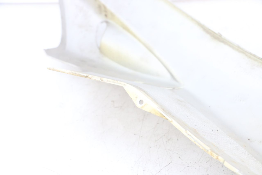 photo de LINKER DORSELPLAAT PEUGEOT SPEEDFIGHT 100 (1997 - 2007) - Staat van het oppervlak