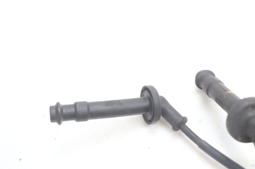 photo de SPOEL HONDA CB F HORNET 600 (2005 - 2006) - Andere kijkhoek