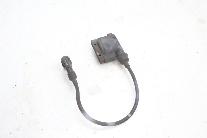 photo de BOBINE PEUGEOT CITYSTAR 125 (2011 - 2017) - Technische close-up