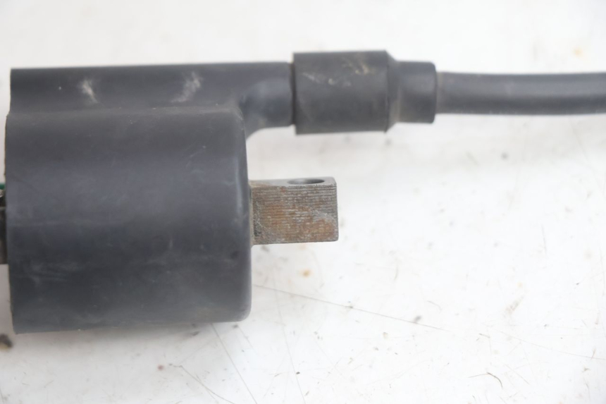 photo de BOBINE JM MOTORS EVOLIS 4T 50 (2018 - 2022) - Andere kijkhoek