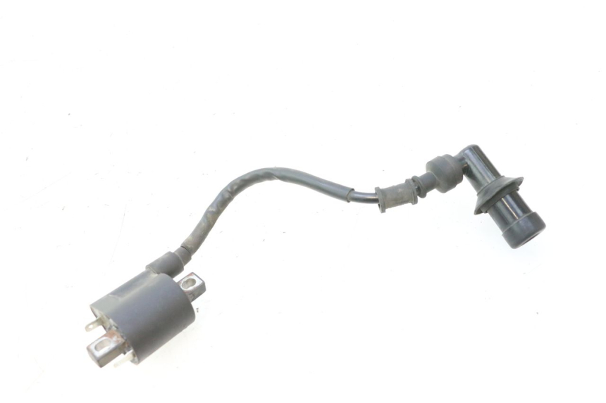 photo de BOBINE JM MOTORS F45i 4T 50 (2020 - 2023) - Hoofdaanzicht