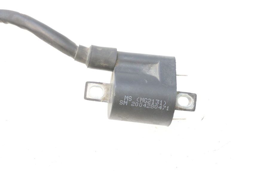 photo de BOBINE JM MOTORS F45i 4T 50 (2020 - 2023) - Overzicht