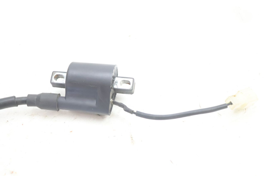 photo de BOBINE IMF INDUSTRIE PACH 2T 50 (2009 - 2013) - Overzicht