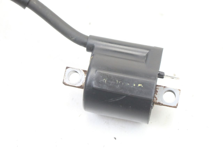 photo de BOBINE YAMAHA PW 80 (1983 - 2014) - Overzicht