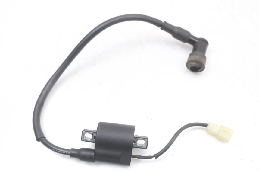 photo de BOBINE TNT MOTOR ROMA 10' 2T 50 (2011 - 2018) - Detail van het onderdeel