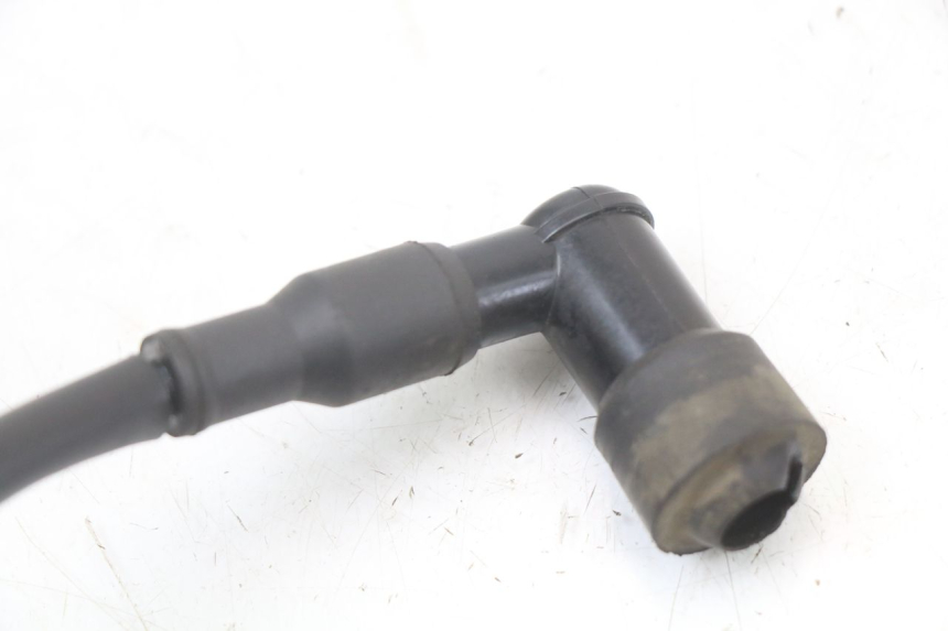 photo de BOBINE TNT MOTOR ROMA 10' 2T 50 (2011 - 2018) - Overzicht