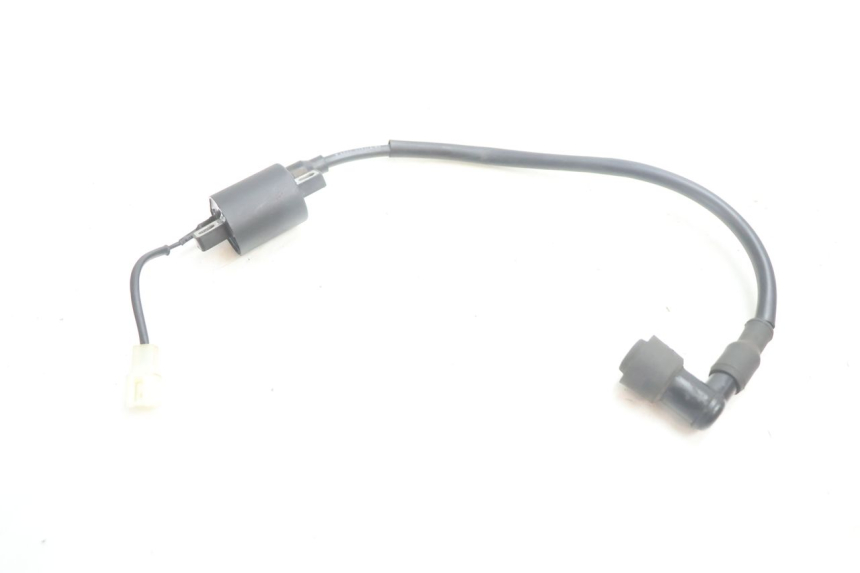 photo de BOBINE TNT MOTOR ROMA 10' 2T 50 (2011 - 2018) - Technische close-up
