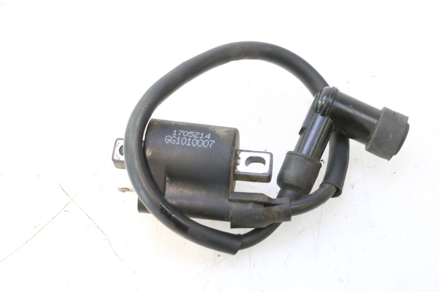 photo de BOBINE TNT MOTOR ROMA 10' 2T 50 (2011 - 2018) - Detail van het onderdeel
