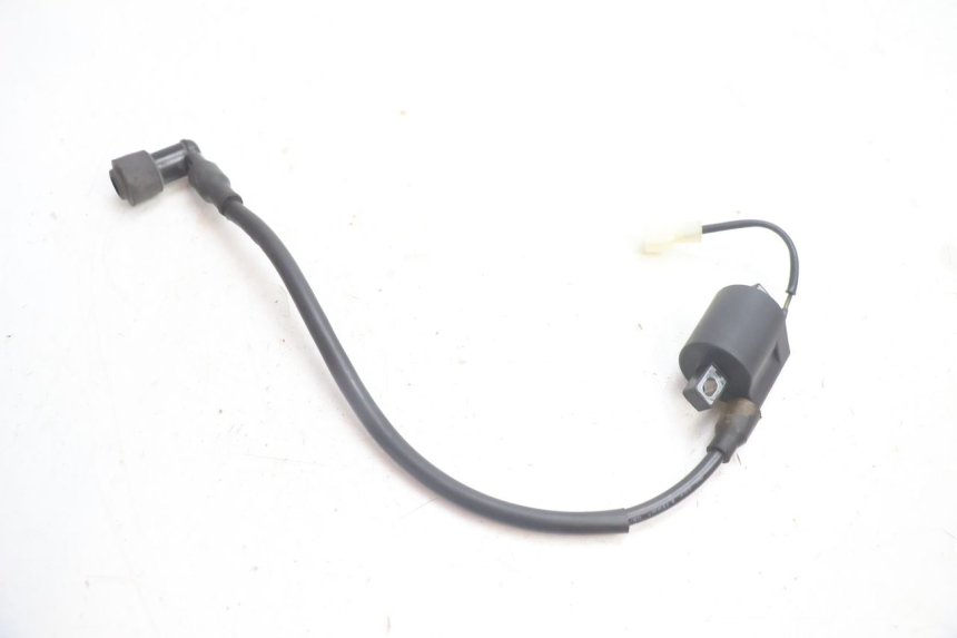 photo de BOBINE TNT MOTOR ROMA 12' 2T 50 (2007 - 2018) - Andere kijkhoek