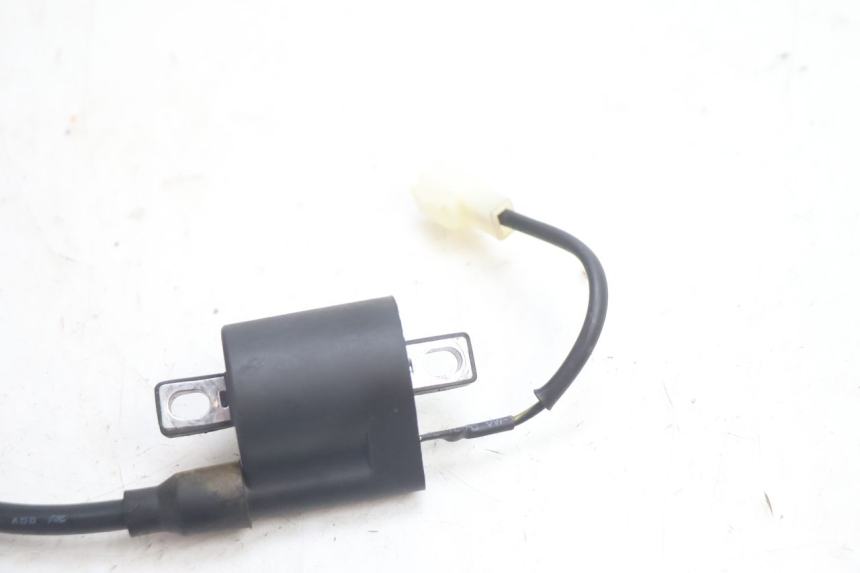 photo de BOBINE TNT MOTOR ROMA 12' 2T 50 (2007 - 2018) - Overzicht