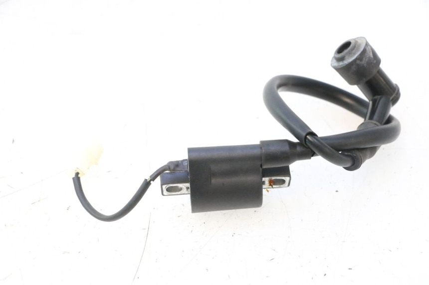 photo de BOBINE TNT MOTOR ROMA 12' 2T 50 (2007 - 2018) - Technische close-up