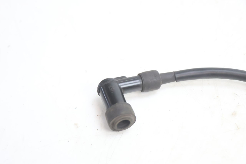 photo de BOBINE TNT MOTOR ROMA 12' 2T 50 (2007 - 2018) - Bevestigingspunten