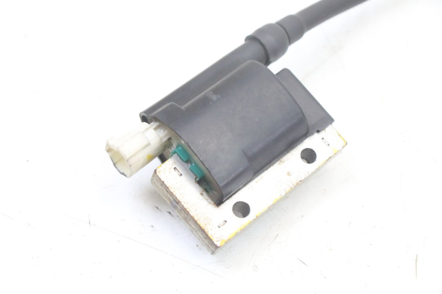 photo de BOBINE ROYAL ENFIELD HYMALAYAN 410 (2016 - 2023) - Detail van het onderdeel