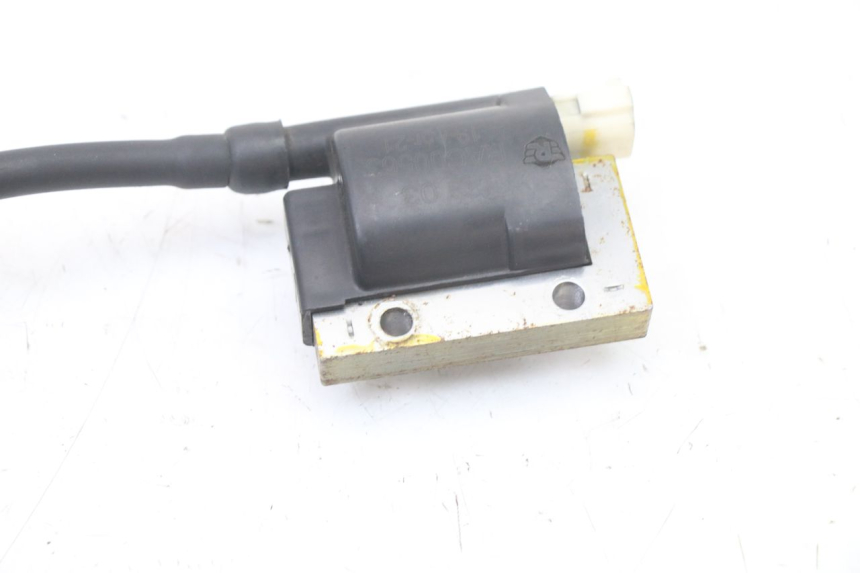 photo de BOBINE ROYAL ENFIELD HYMALAYAN 410 (2016 - 2023) - Overzicht