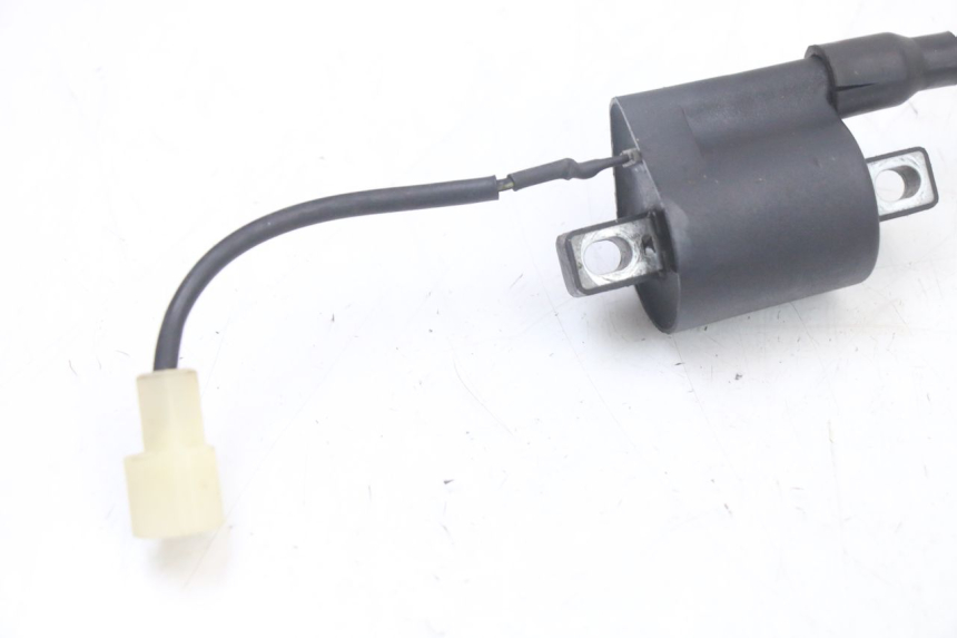 photo de BOBINE TNT MOTOR ROMA 10' 2T 50 (2011 - 2018) - Detail van het onderdeel