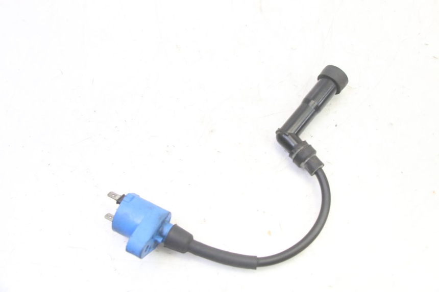 photo de BOBINE PIAGGIO X9 EVOLUTION 125 (2003 - 2007) - Andere kijkhoek