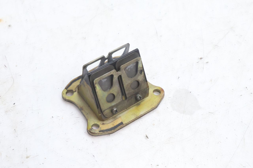photo de KLEPPENHUIS HONDA FES PANTHEON 2T 125 (1998 - 2002) - Hoofdaanzicht