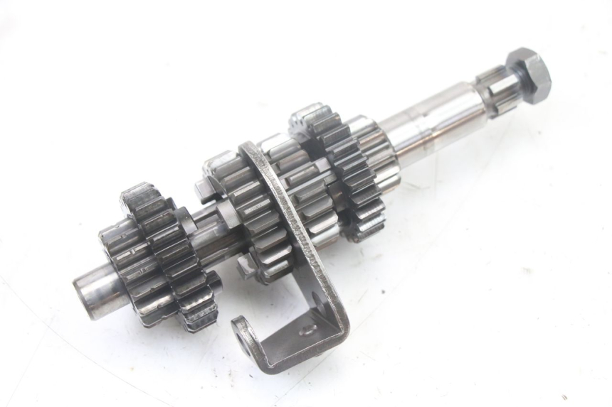 photo de VERSNELLINGSBAK MBK X-LIMIT XLIMIT 50 (2007 - 2012) - Technische close-up