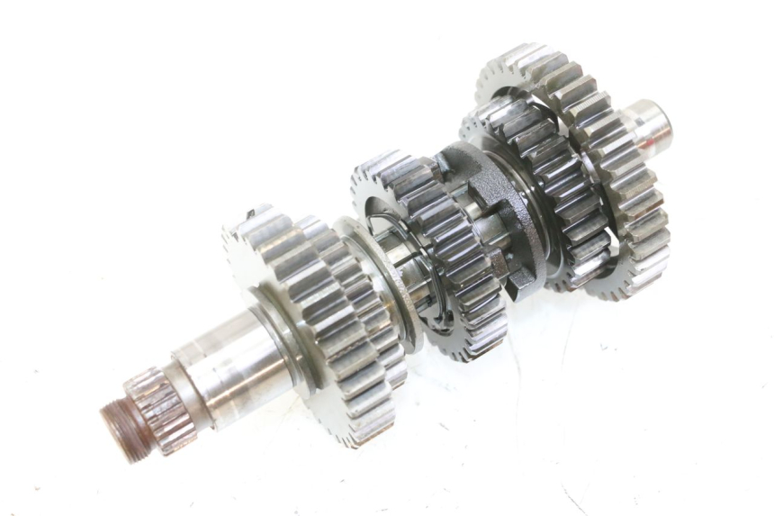 photo de VERSNELLINGSBAK YAMAHA YFM R RAPTOR 250 (2008 - 2014) - Kenmerkende details